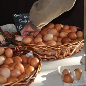 Oeufs frais de Plein Air (x6)