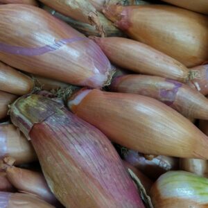 Échalotes (500g)
