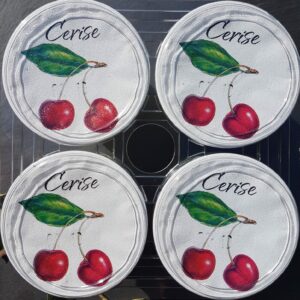 Yaourts Aromatisés à la Cerise (X4)