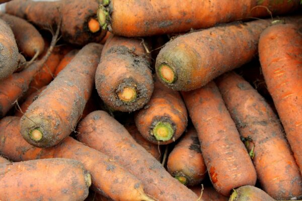 Carottes (1kg)