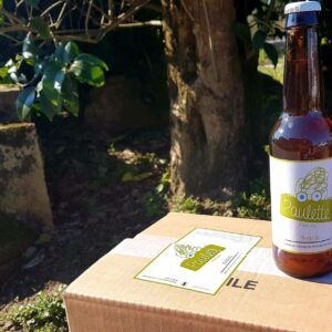 Paulette Ambrée (x12)